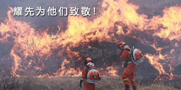 生来是勇士，死去是国殇！万事娱乐向30名消防战士致敬！